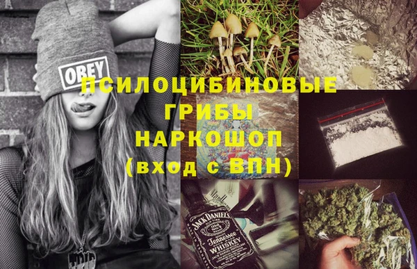 гашик Беломорск