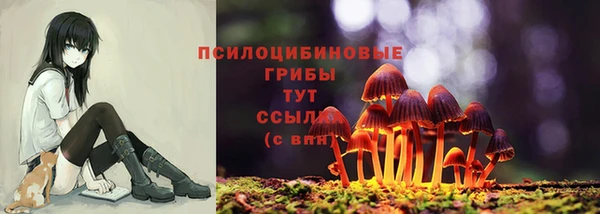 гашик Беломорск