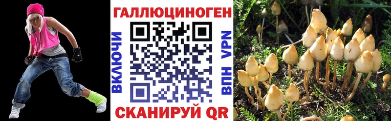 купить наркоту  мега как зайти  Галлюциногенные грибы Psilocybe  Высоковск 
